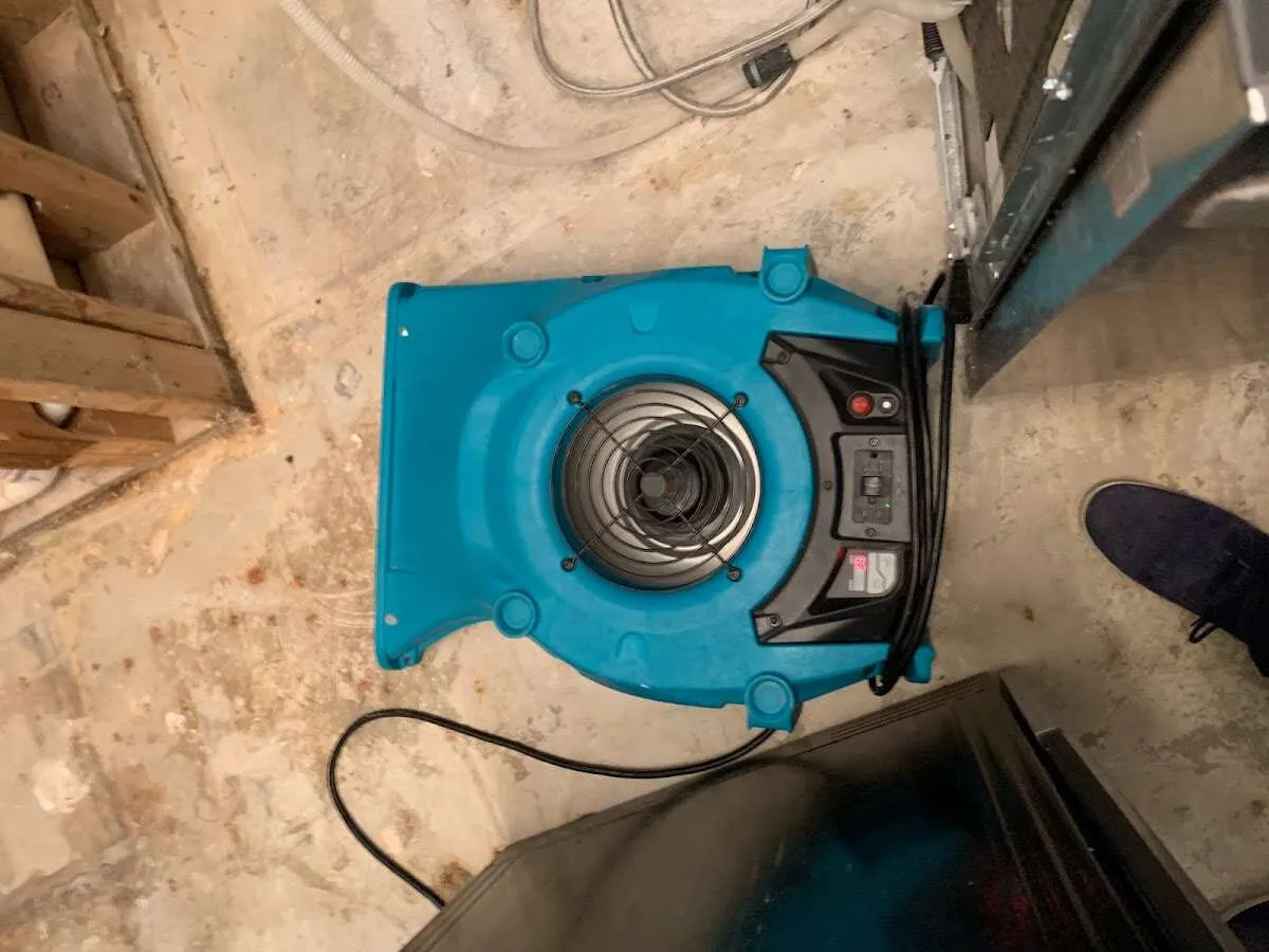 Air mover drying equipment for Mold Remediation & Removal in Rancho Cordova